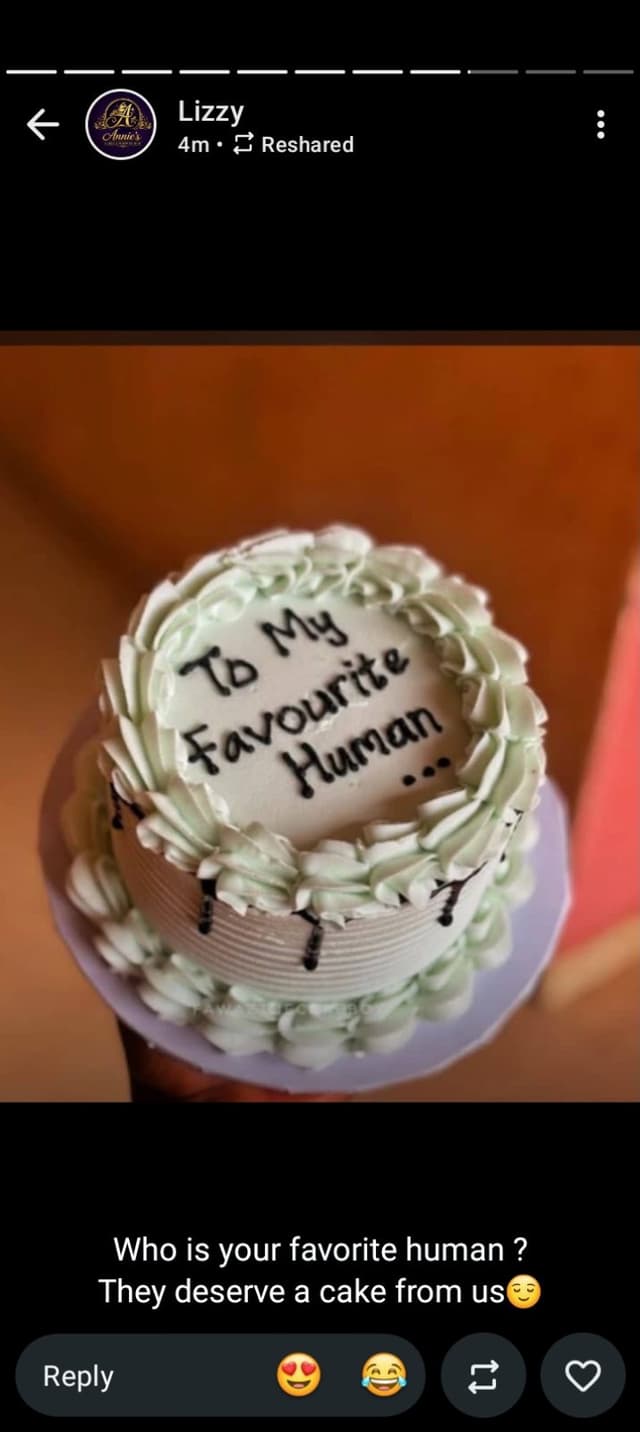 Cake